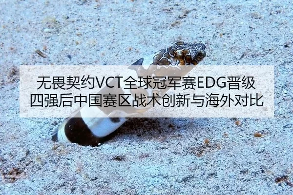 无畏契约VCT全球冠军赛EDG晋级四强后中国赛区战术创新与海外对比